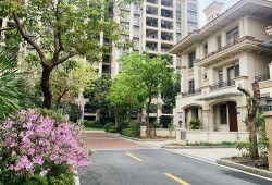 广州爆料事件最新消息,真相逐步浮出水面