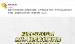 娱乐吃瓜模板,明星恋情曝光，幕后真相竟如此惊人！