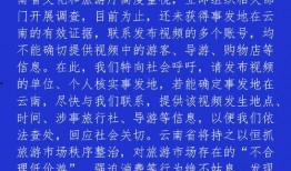 徐州导游爆料视频最新,带你领略这座古城的独特魅力