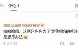 娱乐圈王校长带你吃瓜,王校长带你领略娱乐圈的瓜田盛宴