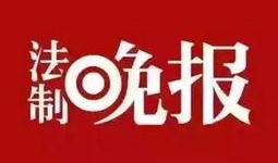 法国新闻爆料,揭秘惊天新闻背后的真相