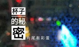 锡盟饭店爆料视频,揭秘后厨卫生与食品安全问题