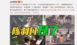 天涯爆料张燕飞视频播放,张燕飞视频引发热议，真相究竟如何？