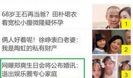 娱乐圈爆料模板制作方法,揭秘明星背后的惊人真相！