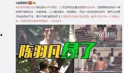在美国发视频爆料犯法吗,视频爆料是否触犯法律？