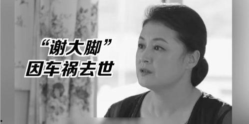 娱乐圈的吃瓜影帝免费小说,娱乐圈幕后风云录